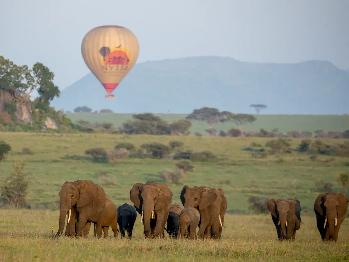 18 day luxury Tanzania safari with hot air balloon experience