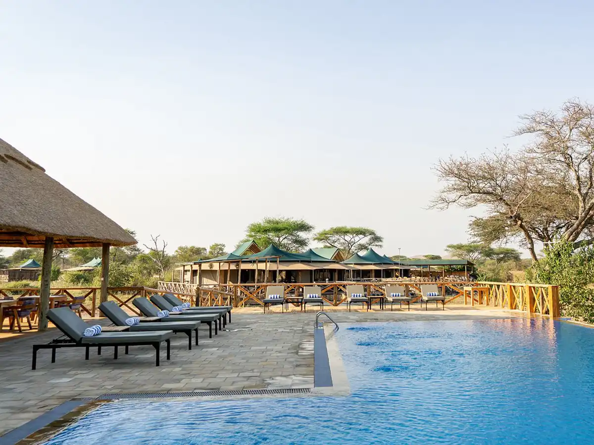 Couple toasting at sunset during a short honeymoon safari