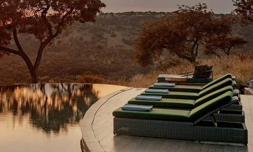 Blog - Luxury Safari Tips