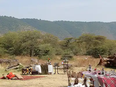 Elewana The Manor at Ngorongoro gardens