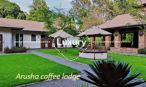 Arusha luxury safari travel Tanzania