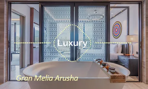 Gran Melia Arusha - premium rooms and service