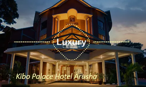 Arusha luxury safari travel Tanzania