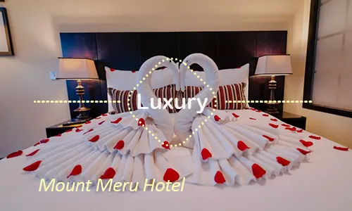 Arusha luxury safari travel Tanzania