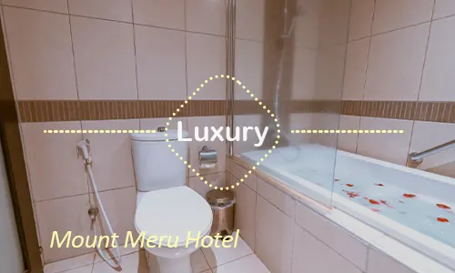 Arusha luxury safari travel Tanzania