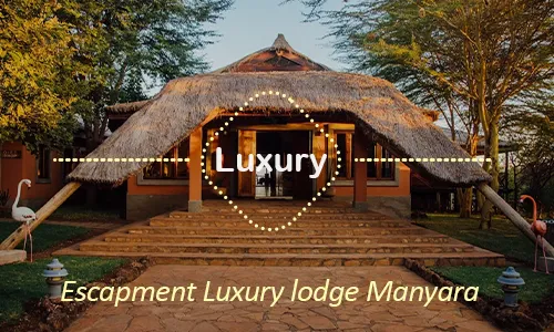 Lake Manyara luxury safari travel Tanzania