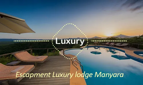 Lake Manyara luxury safari travel Tanzania