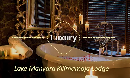Lake Manyara luxury safari travel Tanzania