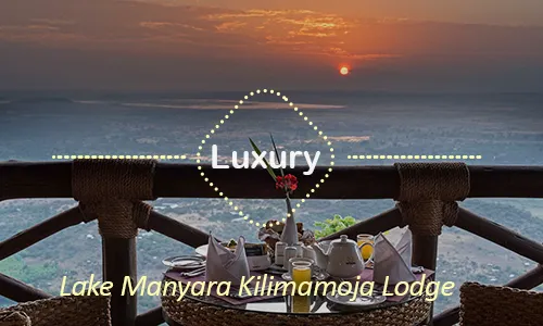 Lake Manyara luxury safari travel Tanzania