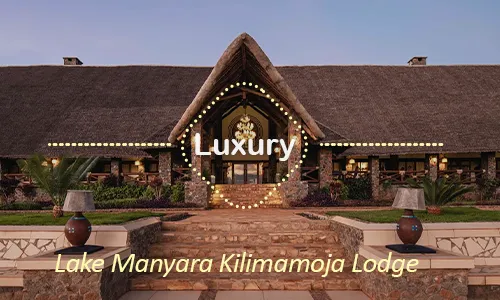 Lake Manyara luxury safari travel Tanzania
