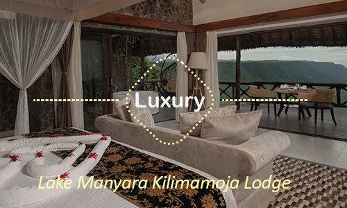 Lake Manyara luxury safari travel Tanzania