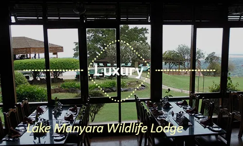 Lake Manyara luxury safari travel Tanzania