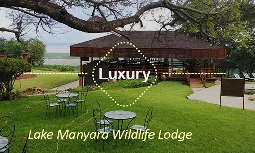 Lake Manyara luxury safari travel Tanzania