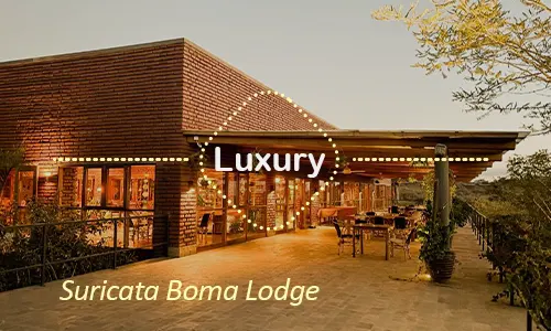 Suricata Boma Lodge - curated luxury camp