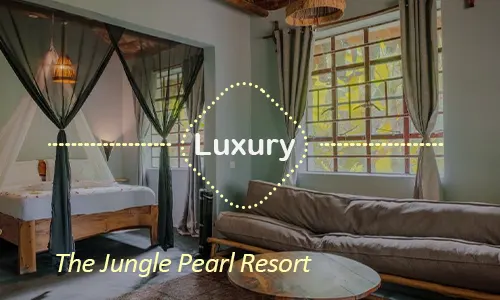 The Jungle Pearl Resort - Family Luxury Resort