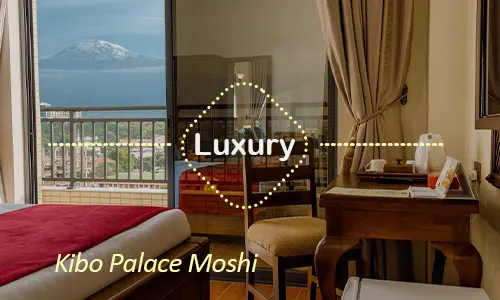 Moshi luxury hotel welcome for Kilimanjaro climb