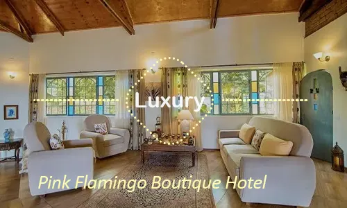 Moshi boutique accommodation after Kilimanjaro