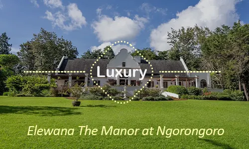 Ngorongoro luxury safari travel Tanzania
