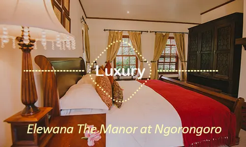 Ngorongoro luxury safari travel Tanzania