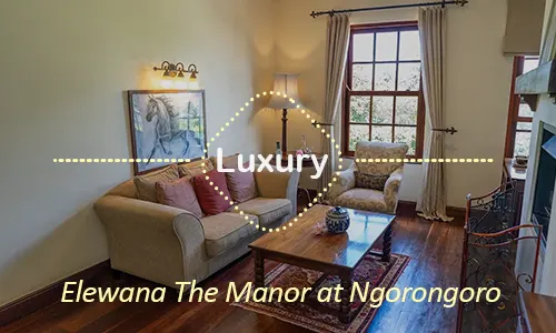 Ngorongoro luxury safari travel Tanzania