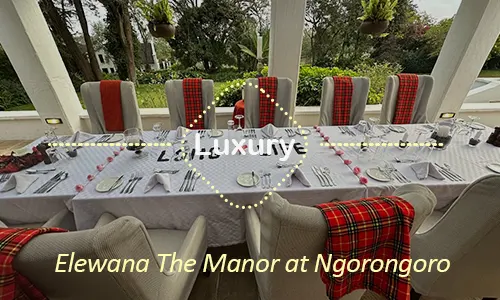 Ngorongoro luxury safari travel Tanzania