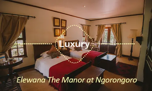 Ngorongoro luxury safari travel Tanzania