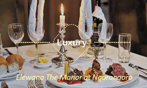 Ngorongoro luxury safari travel Tanzania