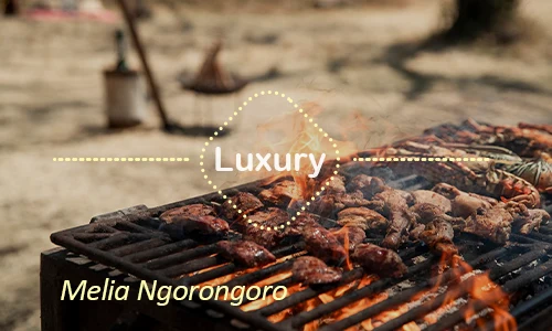 Melia Ngorongoro family rooms - Luxury stay