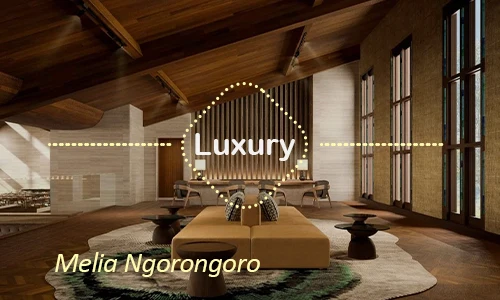 Ngorongoro luxury safari travel Tanzania