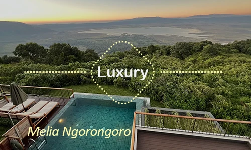 Ngorongoro luxury safari travel Tanzania