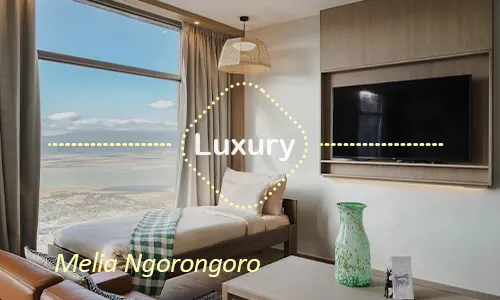 Melia Ngorongoro - Luxury Safari Lodge