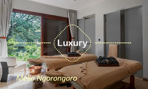 Ngorongoro luxury safari travel Tanzania
