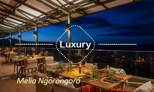 Melia Ngorongoro luxury - Day 11