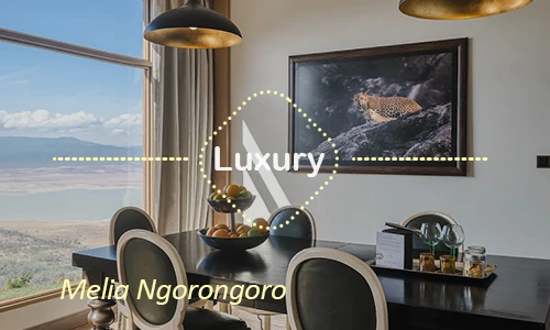 Melia Ngorongoro luxury rooms - Crater day