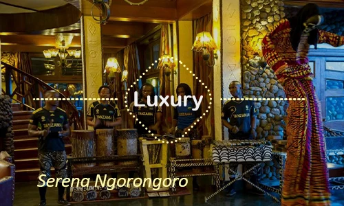 Ngorongoro luxury safari travel Tanzania