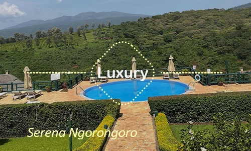 Ngorongoro luxury safari travel Tanzania
