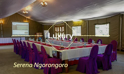 Ngorongoro luxury safari travel Tanzania
