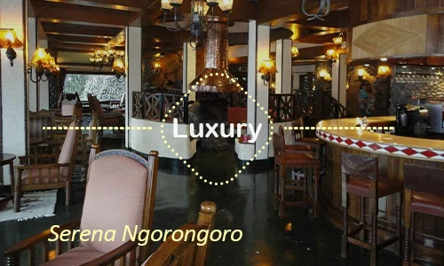 Ngorongoro luxury safari travel Tanzania