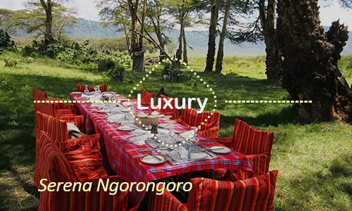 Ngorongoro luxury safari travel Tanzania