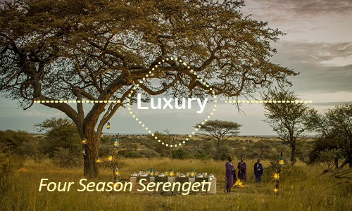 Serengeti luxury safari travel Tanzania