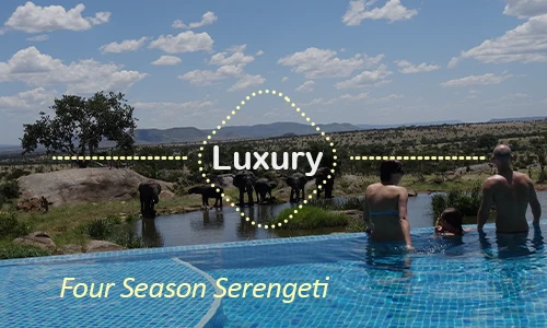 Serengeti luxury safari travel Tanzania