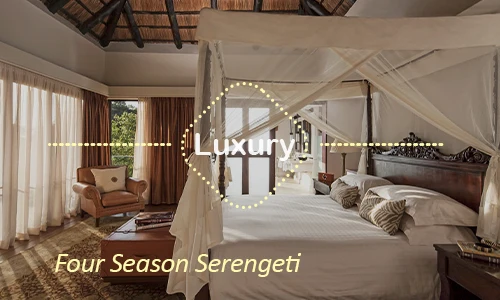 Serengeti luxury safari travel Tanzania
