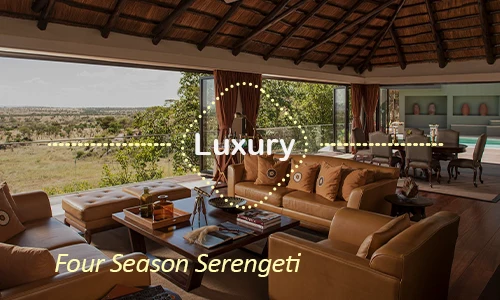 Serengeti luxury safari travel Tanzania