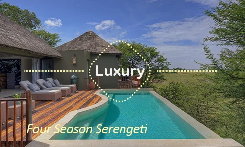 Four Seasons Serengeti luxury - Day 7