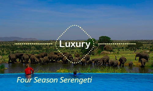 Four Seasons Serengeti luxury lodge - Central Serengeti