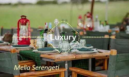 Melia Serengeti luxury - Day 8