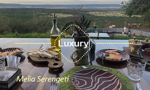 Melia Serengeti - Final Day Family Room