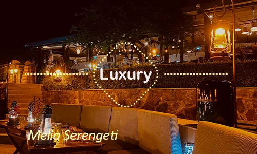 Serengeti luxury safari travel Tanzania