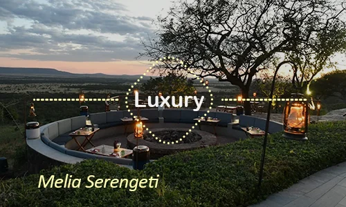 Serengeti luxury safari travel Tanzania