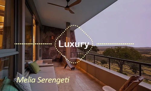 Melia Serengeti luxury tented camp - Serengeti plains